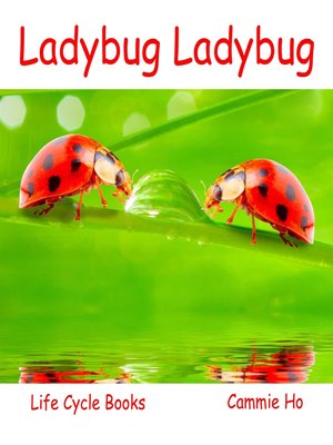cover image of Ladybug Ladybug